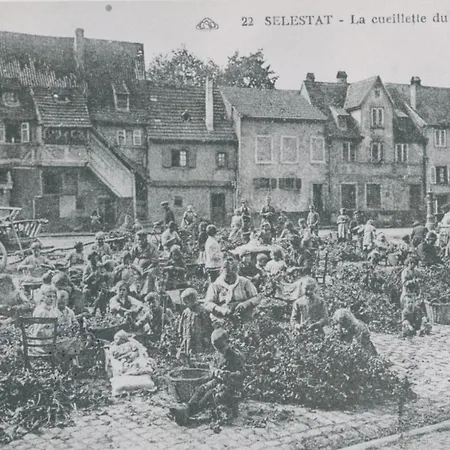 Au Bon Vieux Port Maison De Vacances Alsacienne A 10Mn De Ribeauville, Riquewihr Et Kaysersberg Sélestat Buitenkant foto