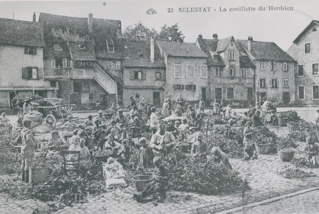Au Bon Vieux Port *